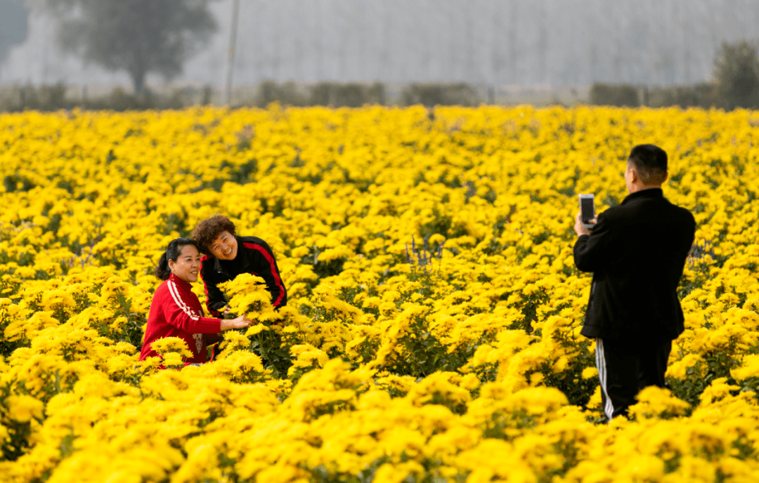 一起探索淮北乡村旅游后备箱工程基地,遇见画里乡村(下)_南坪镇_游客