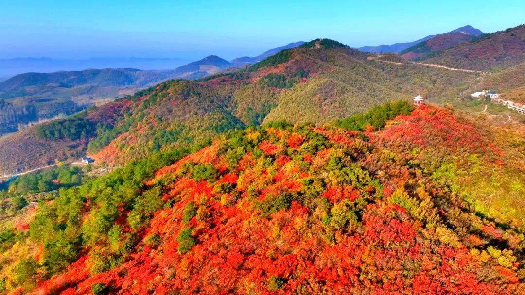 桐柏山红叶风景区图片