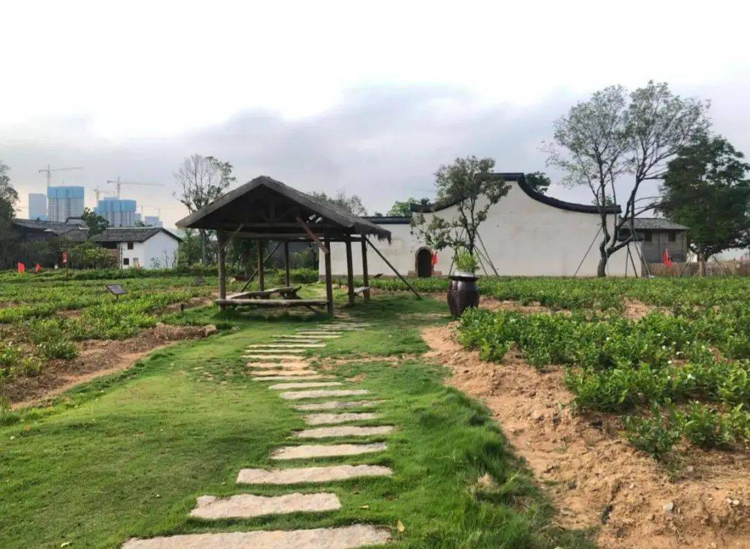 名城分享丨梁厝村的前世今生_梁氏_仓山_宗祠