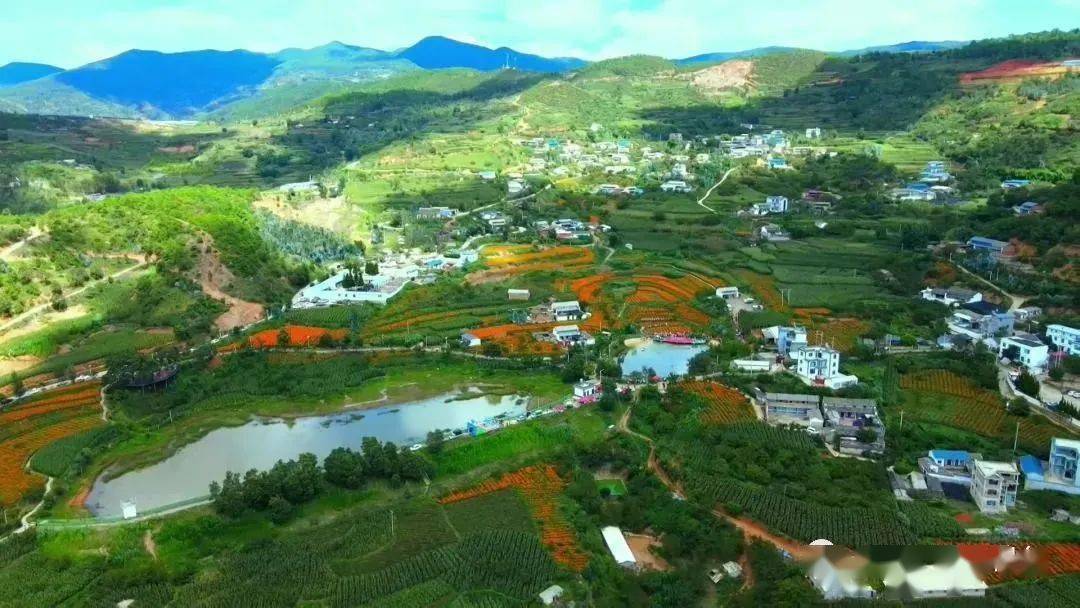 弥渡县苴力镇栗子园村地处山区,群众收入来源十分单一.