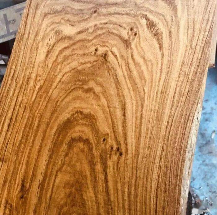 "红木"水太深 | 越南黄花梨究竟是什么木材?_黄檀_树种_东京