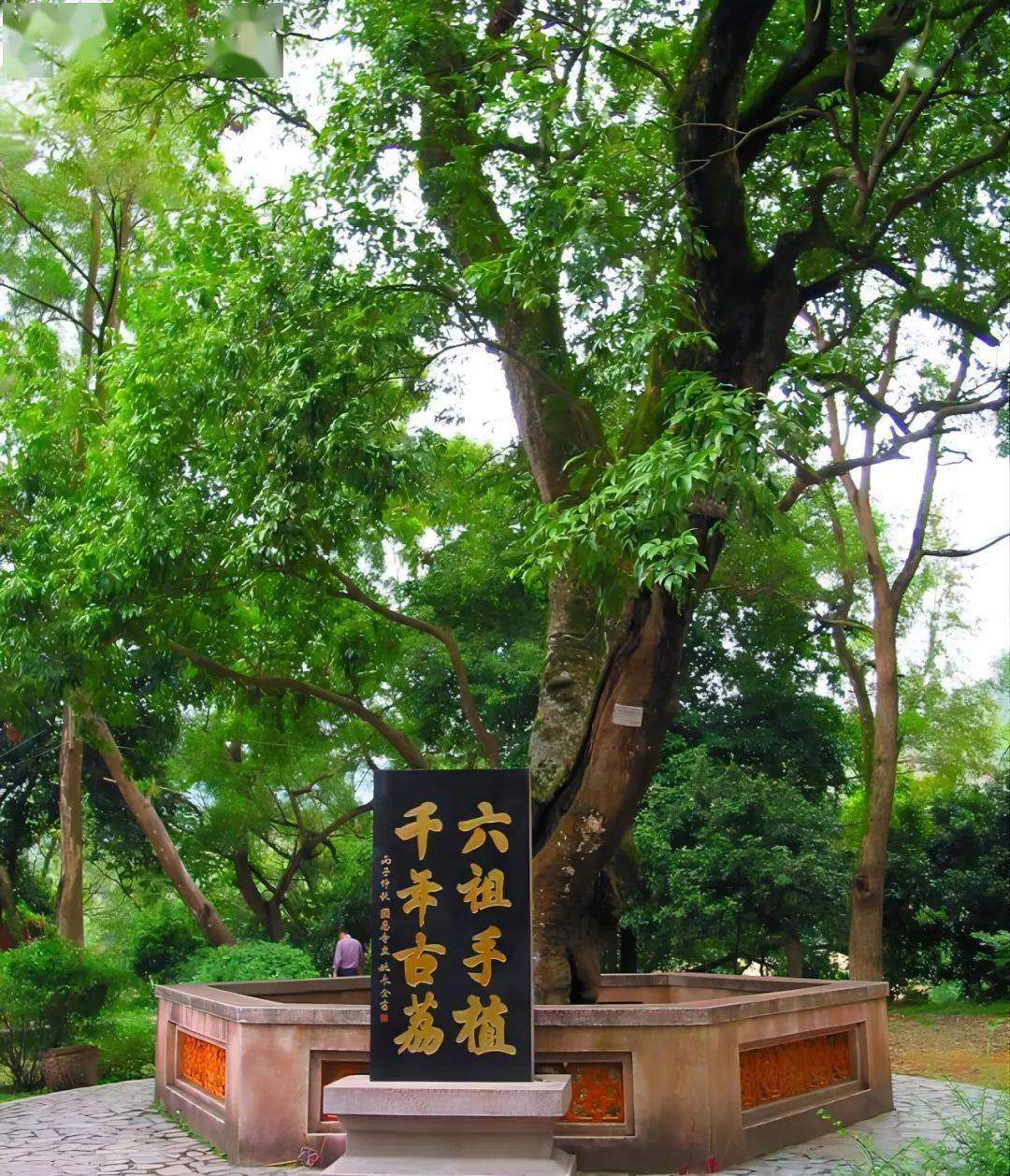 《经窗禅韵》|| 访六祖故乡_洪同学_阎浮_原韵