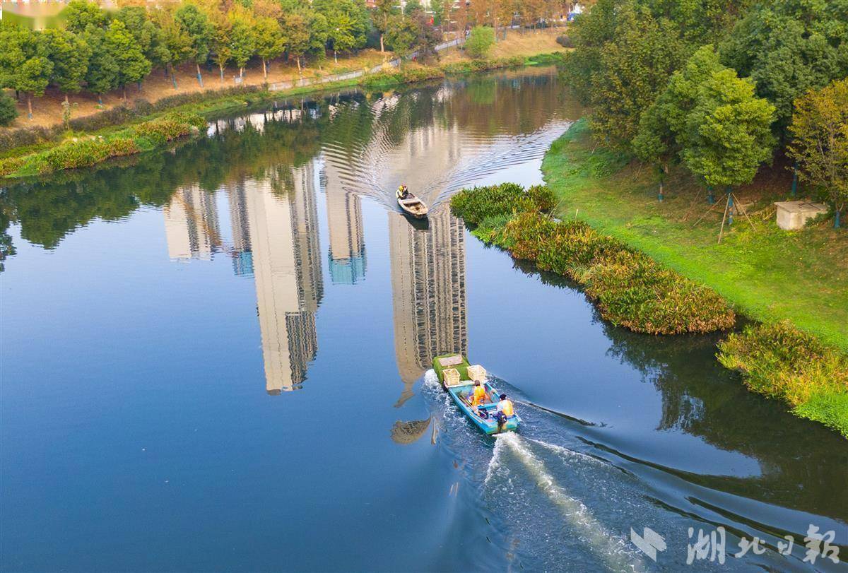 巡司河全新亮相_整治_河道_综合