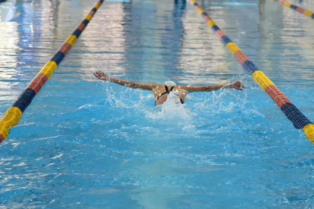 2022年厦门市中小学生游泳锦标赛落幕!获奖的是……_比赛_联队_初中