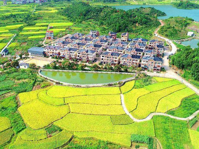 宝鸡市金台区陈仓镇的东岭村,却有"陕西第一村"之美誉_村子_村庄_的