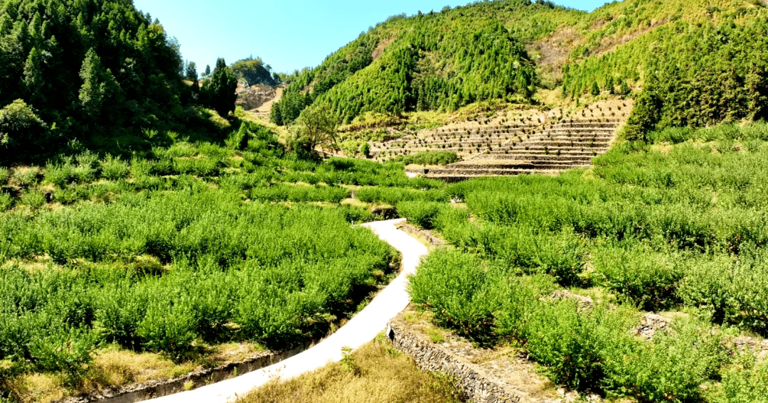 來開化縣村頭鎮士谷村,看滄海桑田,一眼七億年~_地質_柿子_白雲石