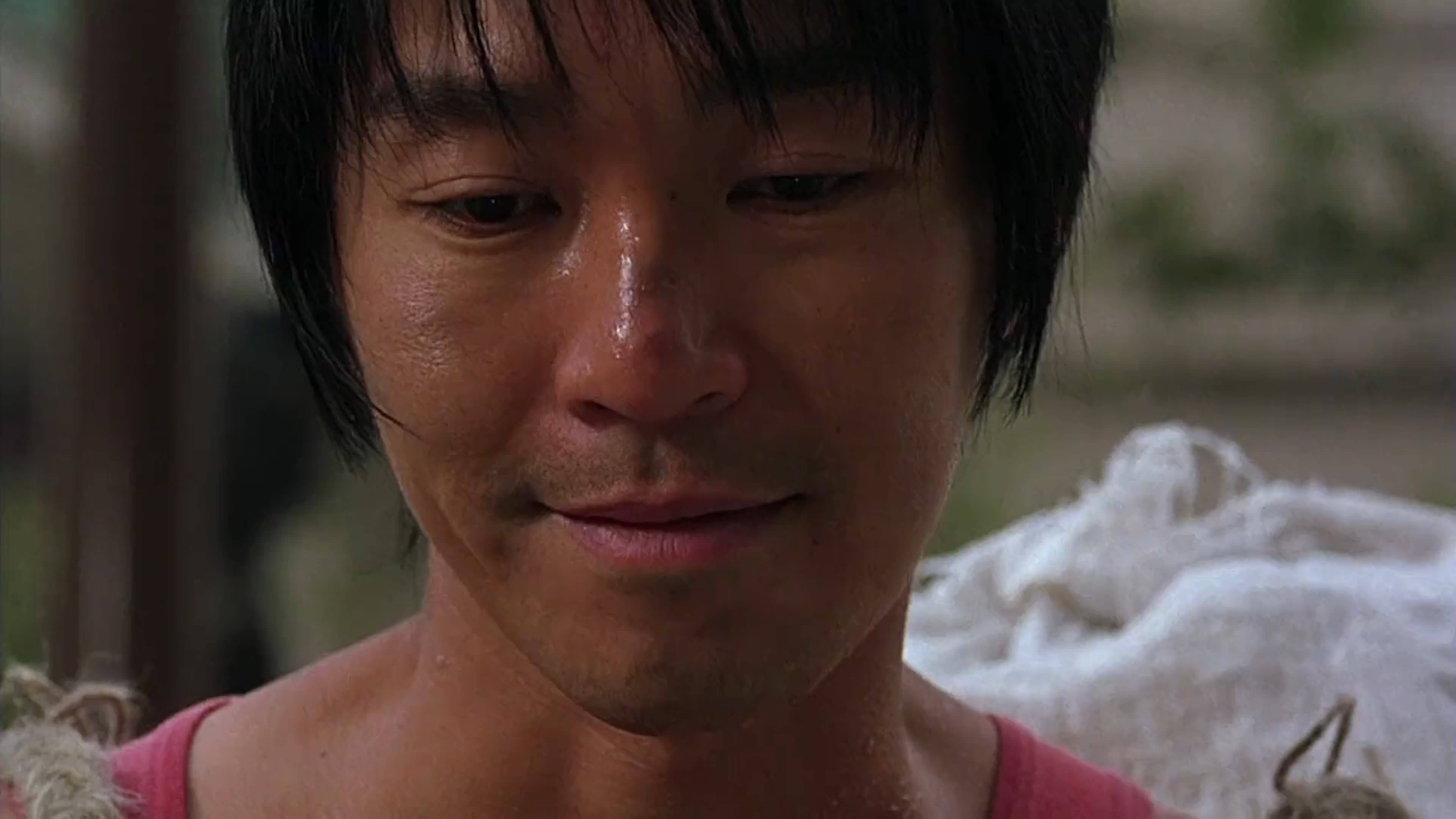 缺席世界杯,星爷有一部电影却获得世界杯官方认可_李小龙_谢贤_周星驰