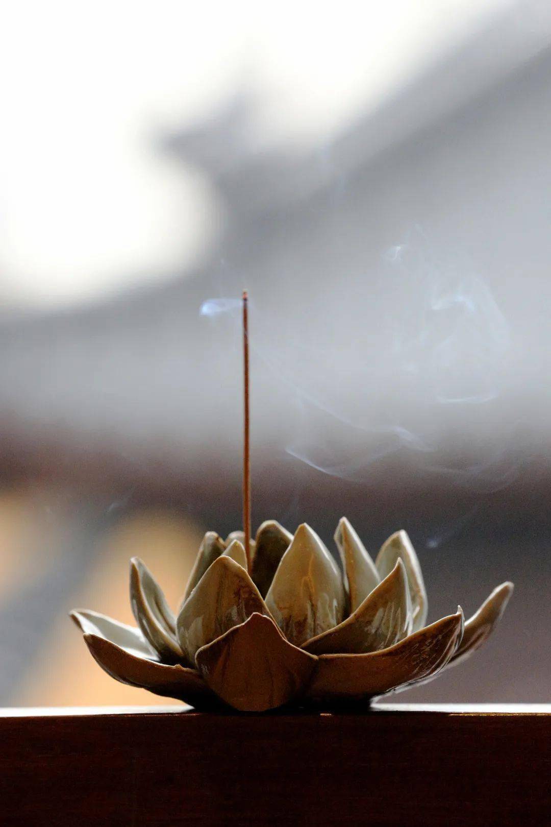 佛教常用香料丨旃檀香&沉香_牛头_树脂_白檀