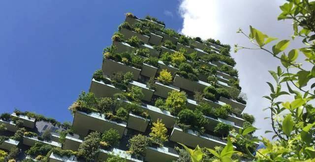 真正入住的业主,都经历了什么?_第四代_庭院_高层