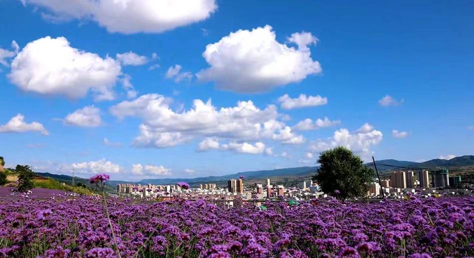 清水縣北山生態景區順利通過國家3a級旅遊景區評審_鄉村_公園_服務