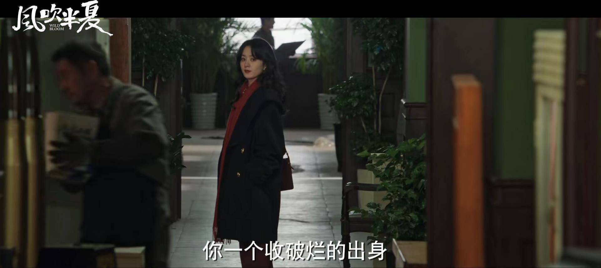 国产商战剧_女性创业剧_风吹半夏免费观看完整版高清电视剧