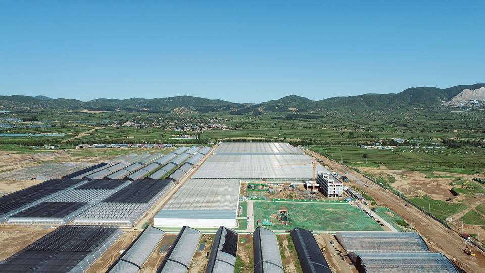 陽曲農投現代農業科技示範產業園地處太忻一體化經濟區太原片區的核心