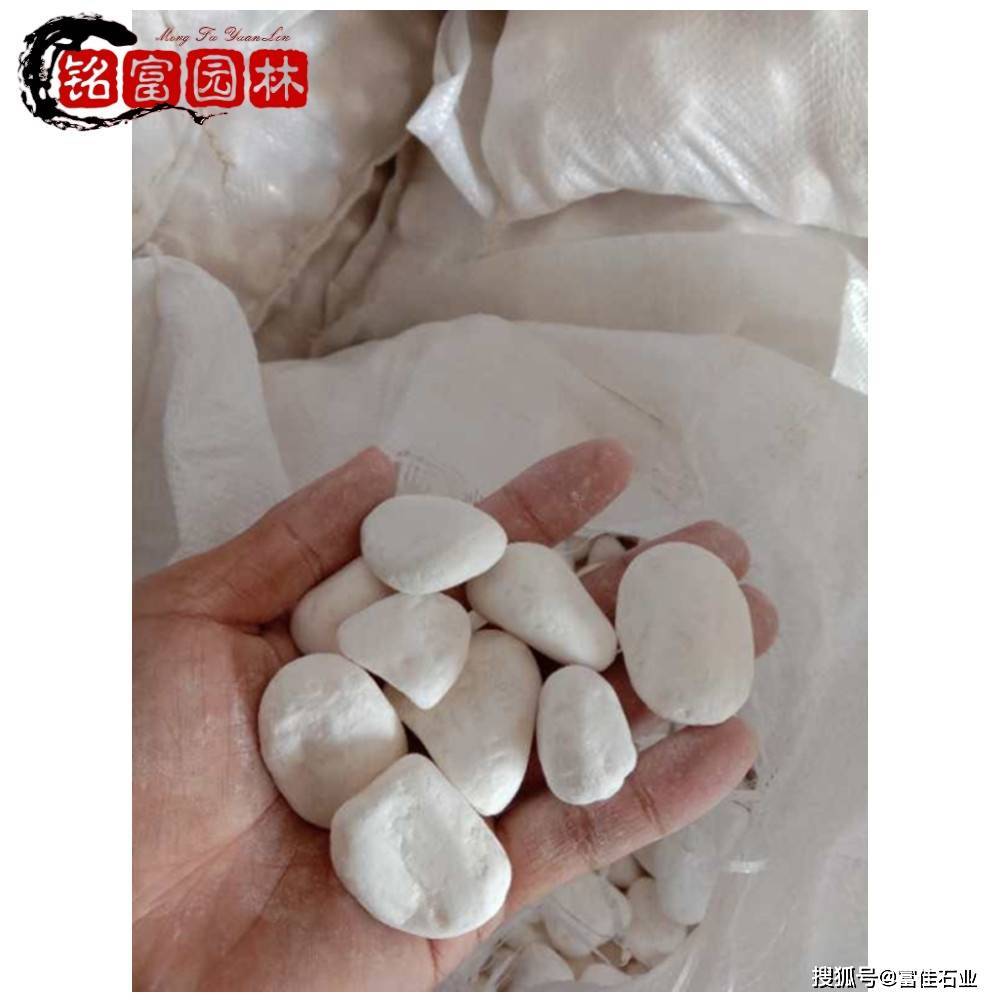 佛山抛光雨花石鱼缸造景 广东抛光鹅卵石建材铺路_石子_加工_石材