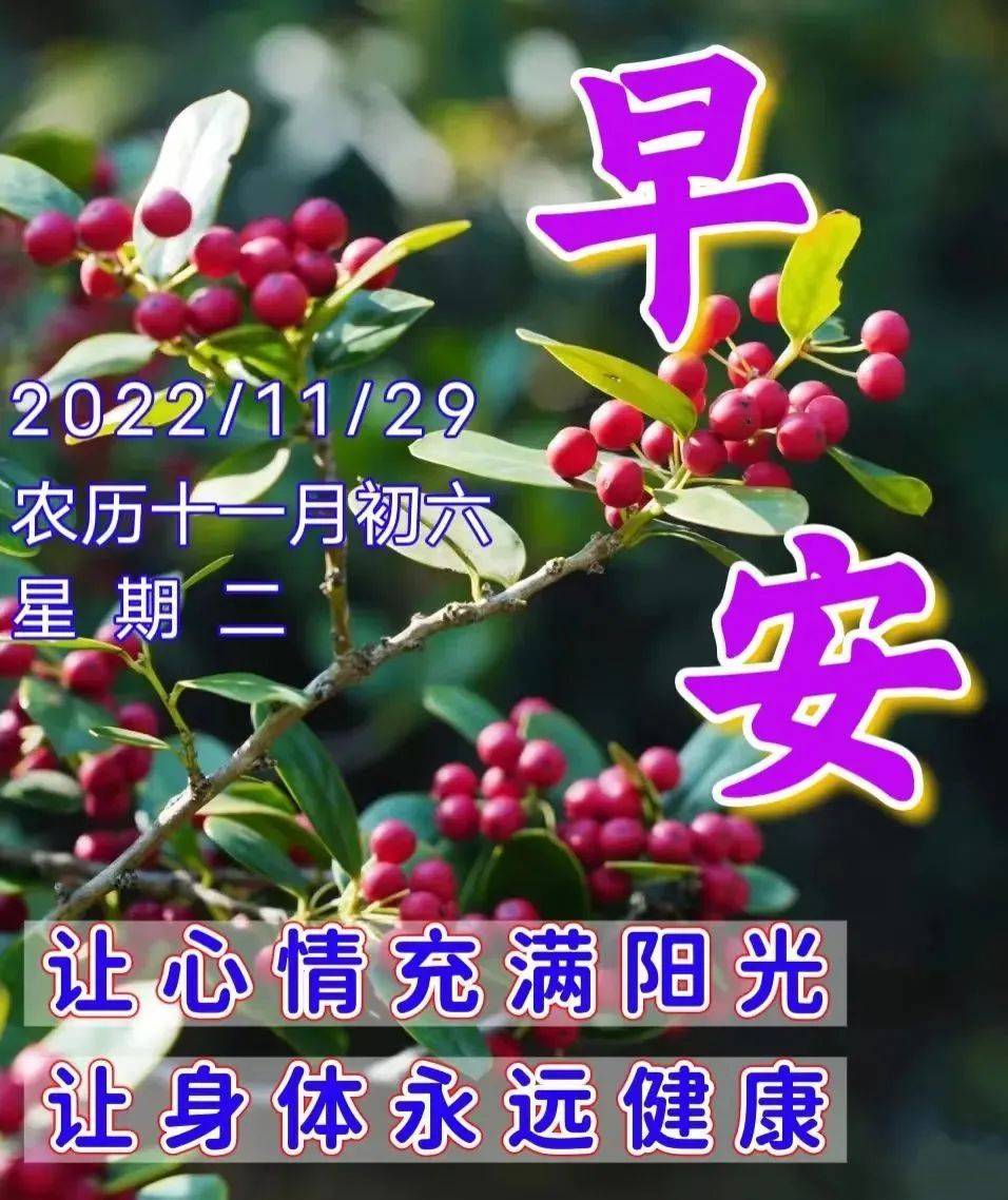11月29日星期二清晨早上好问候祝福动态表情图片 周二最新早安问候