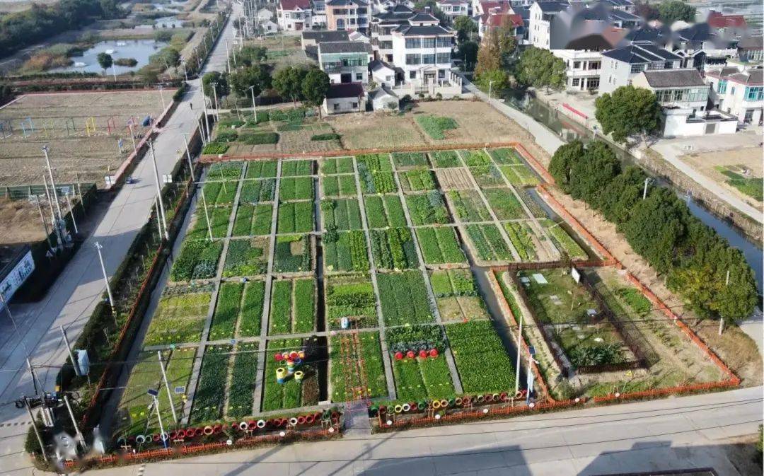 2022年"美丽菜园"评选,邀您为七都镇东风村投上一票!