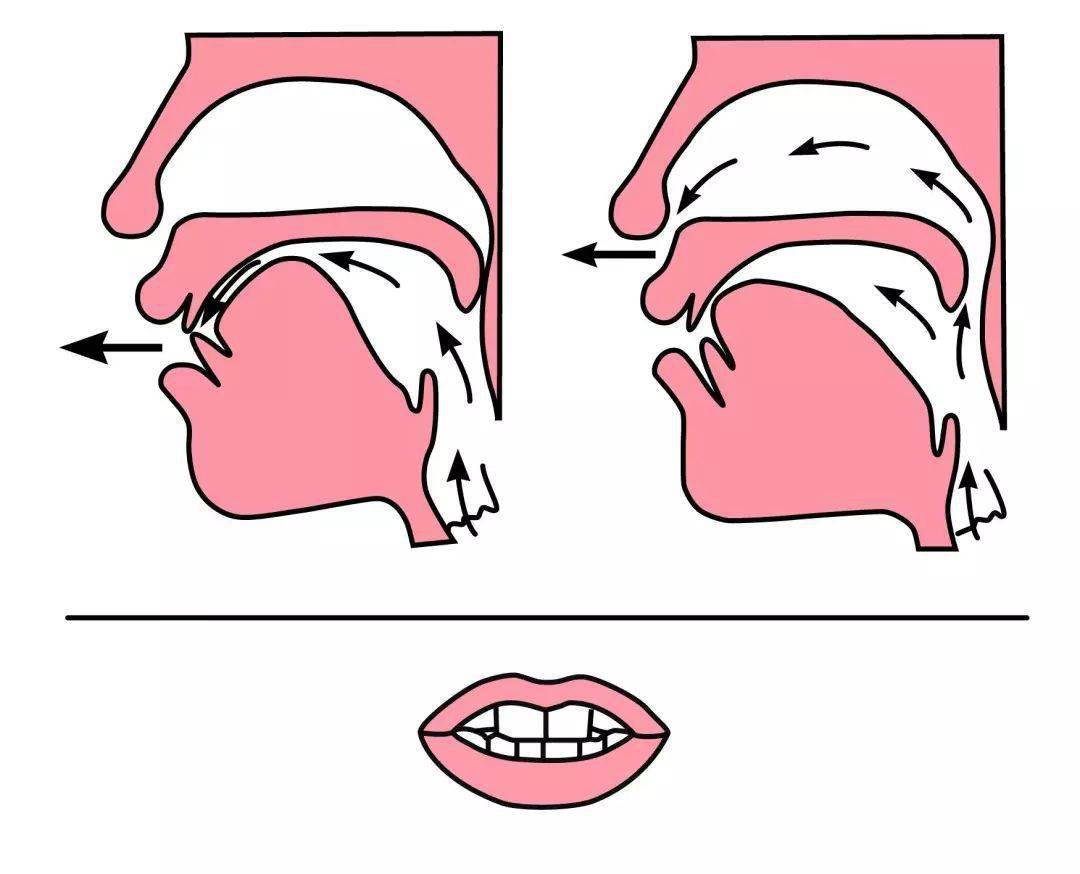 小学前后鼻音发音技巧 (附:平翘舌音 前后鼻音)易错字归类