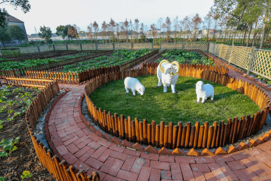 2022年"美丽菜园"评选,邀您为七都镇东风村投上一票!