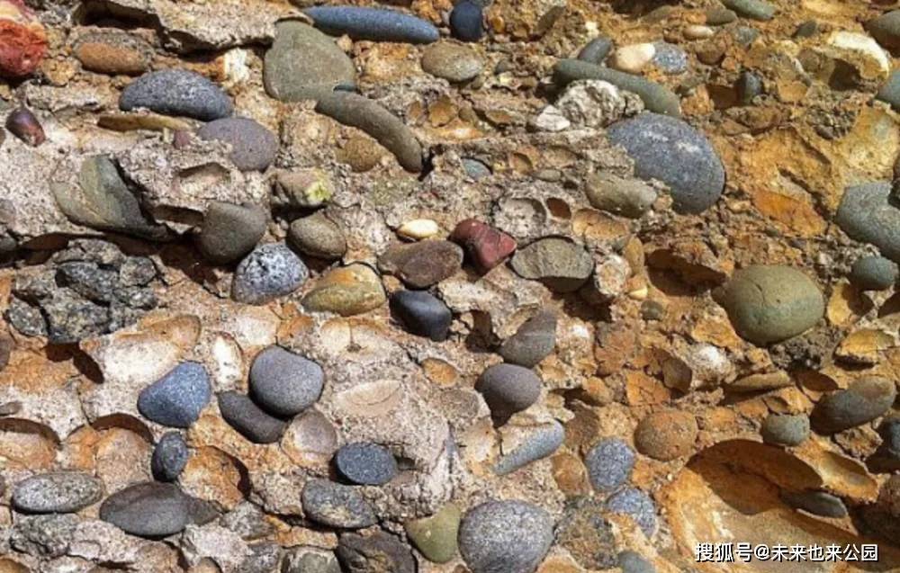 「砾岩」砾粒在目_岩石_沉积岩_颗粒