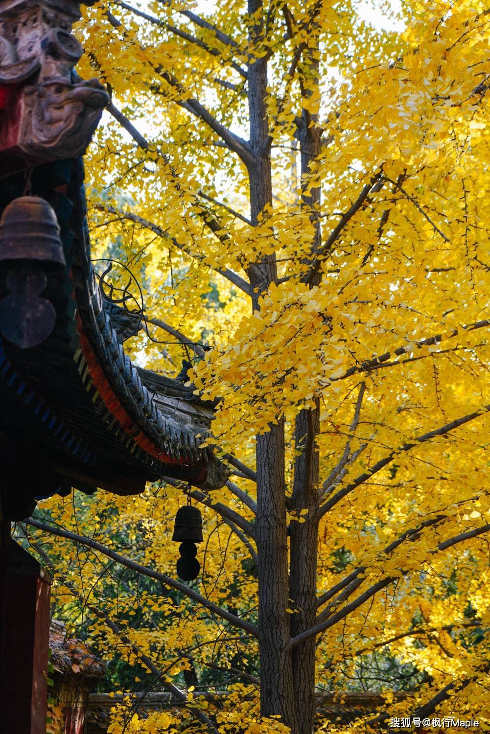 香山公园秋景图片