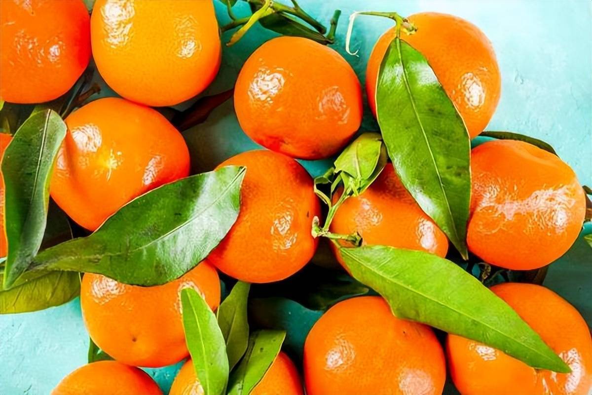 网传吃橘子会变阳是真的吗(橘子对人体有哪些营养价值)