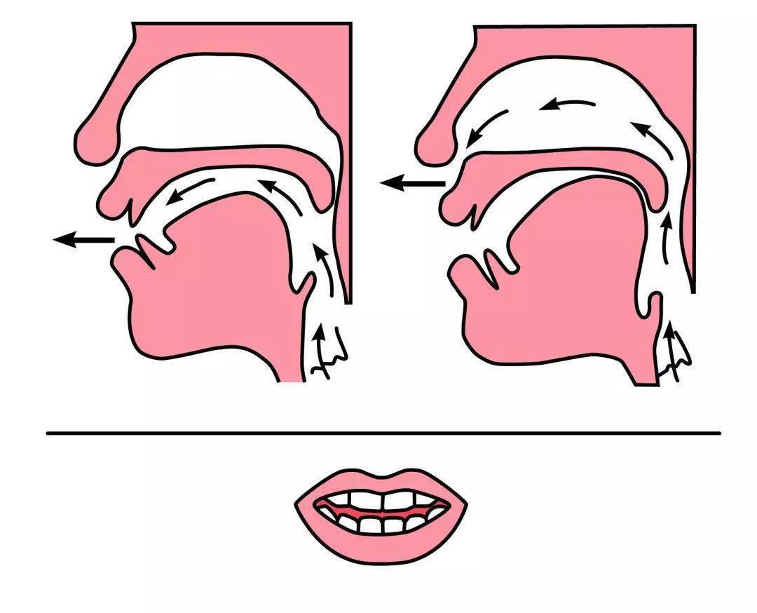 二年级前后鼻音学习攻略(附:平翘舌音 前后鼻音)