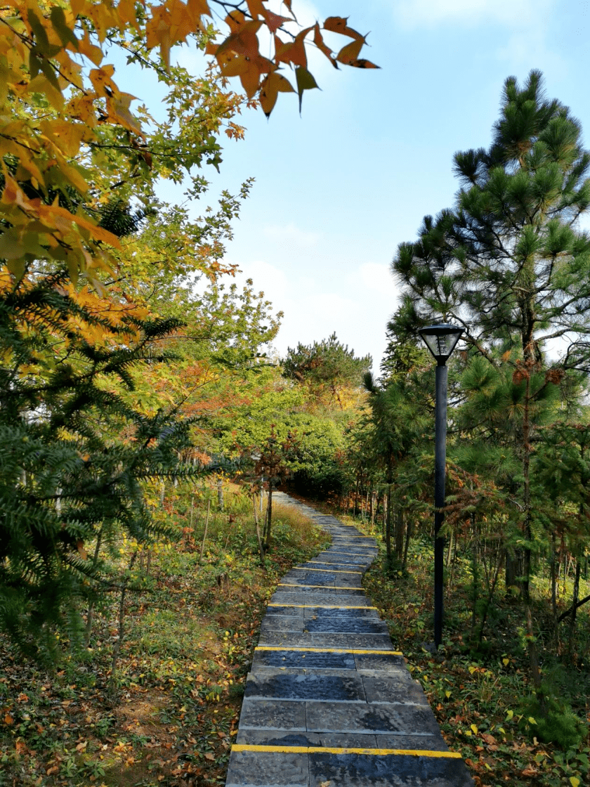 燕山秋景图图片