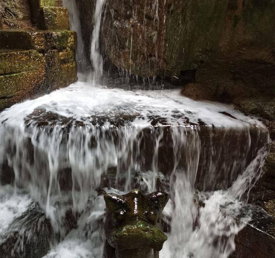 重庆鱼泉之谜,农家后院一口泉水不断喷出鱼,带来巨大财富_自动_旅游业