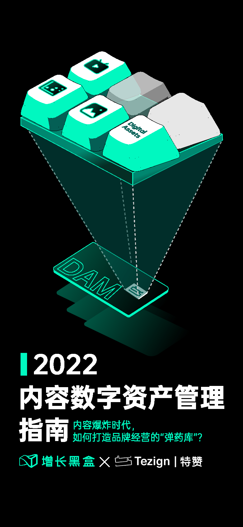 增长黑盒&特赞：2022内容数字资产管理指南