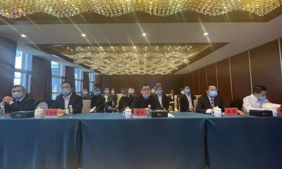 公司党委书记,总裁杨华锋,执行总裁杨磊,财务总监,党委委员杨小红,副