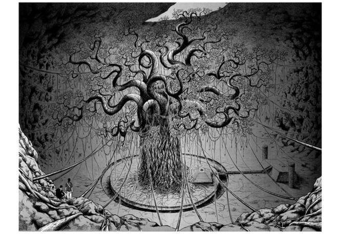 青海惊现"九死还魂"九龙卷柏,太过特殊专家也无法解释_物种_植物_气候