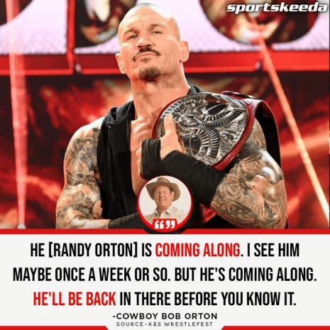 wwe传奇人物建议兰迪奥顿远离擂台,健康最重要!_泰迪·朗_teddy_long