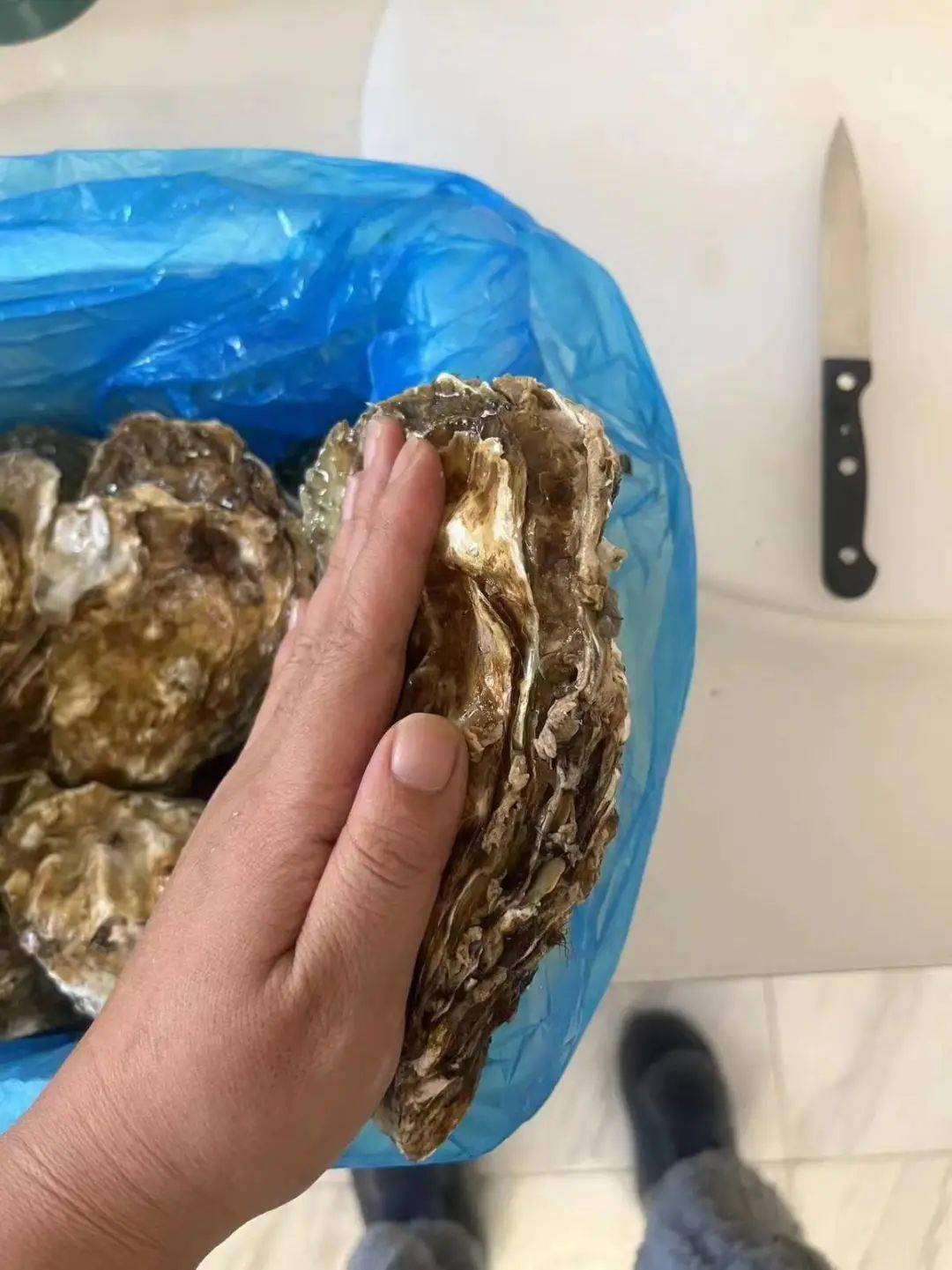 乳山极品生蚝王~特级10斤装,省内包邮到家_关火_时候_平面