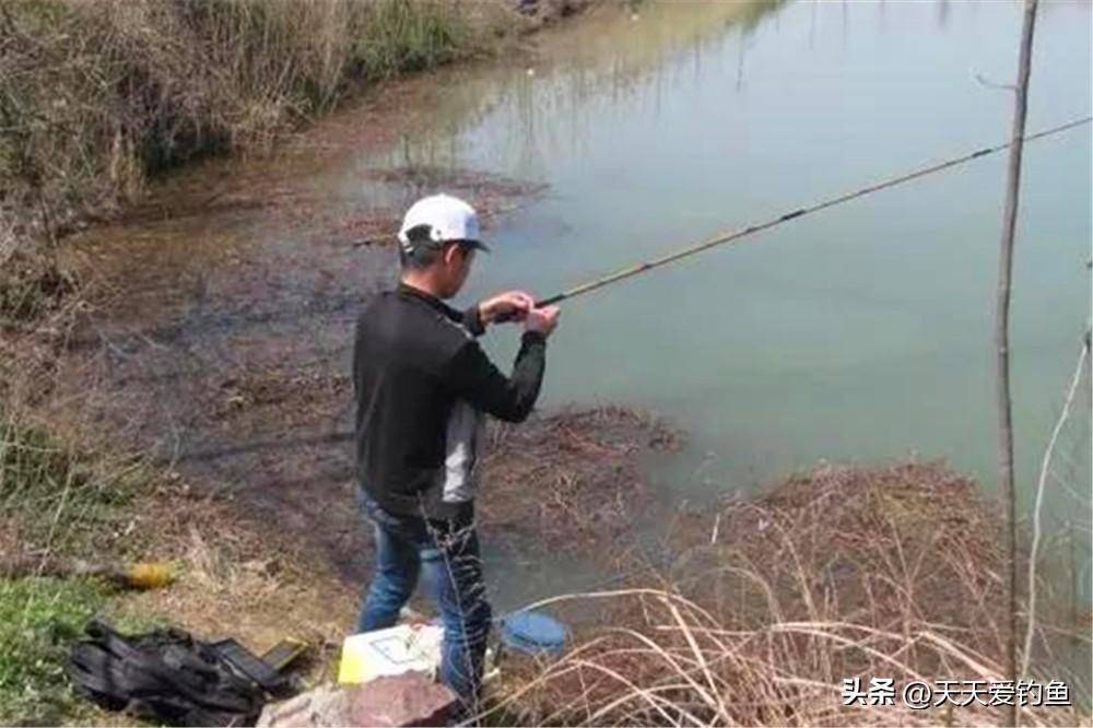 冬季野钓鲫鱼，垂钓者要争抢钓位，大鲫鱼