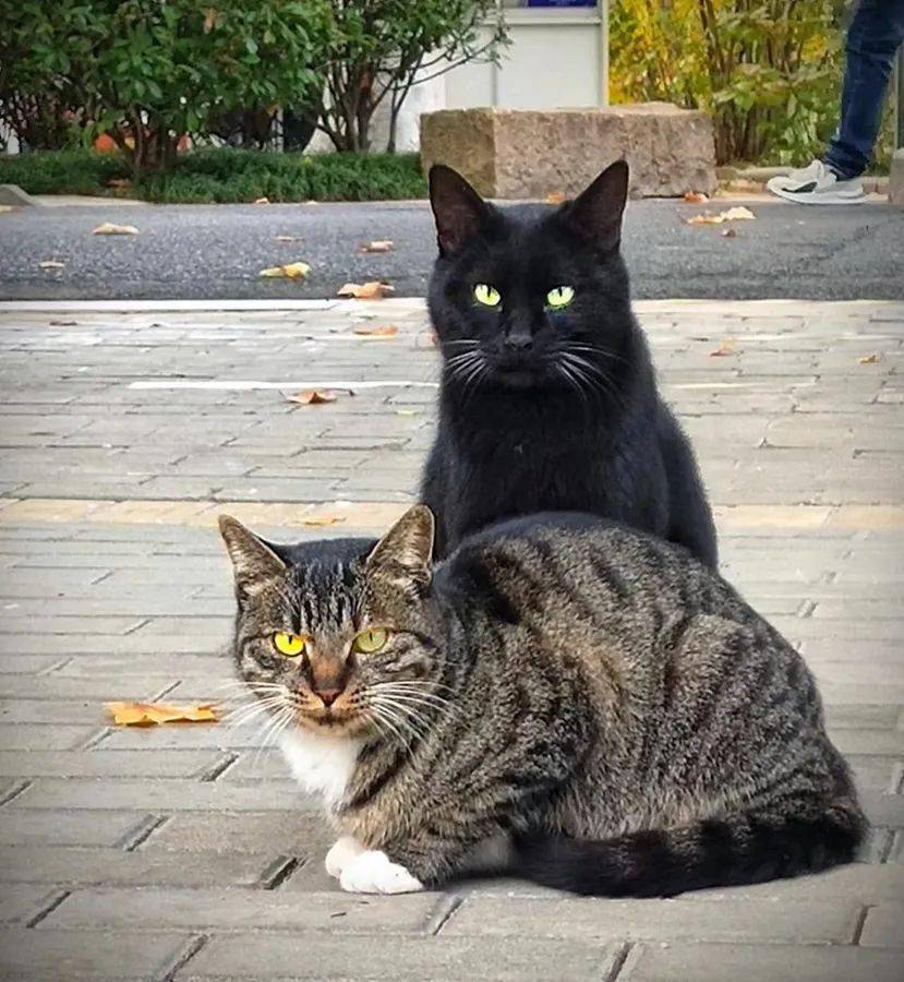 摄影网"各群优秀作品展示:2022年11月份18群优秀作品_网站_交流_影友