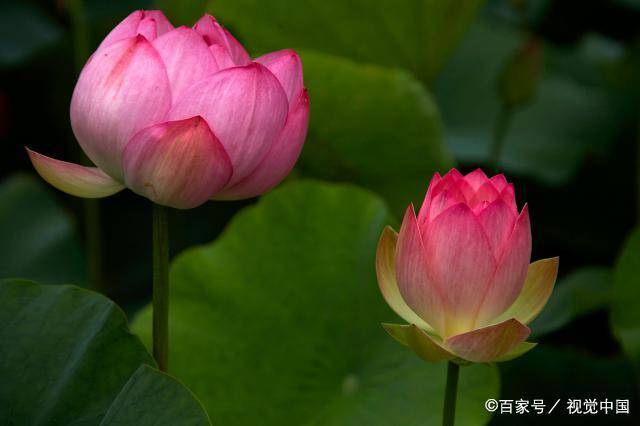 縱使當下困頓,但終有一天,你會看到柳暗花明