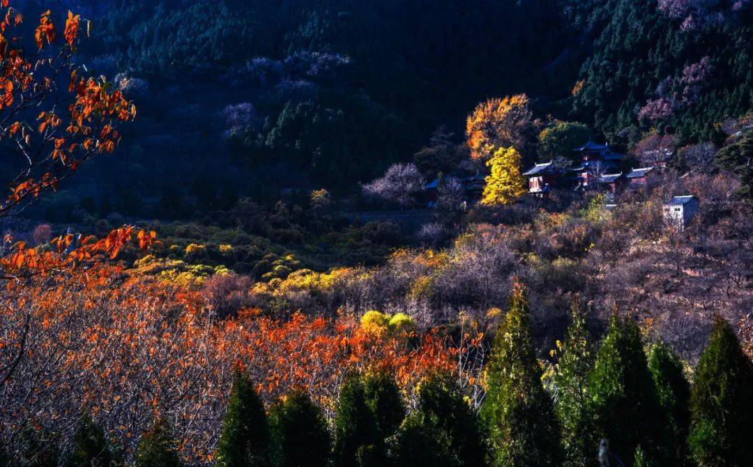 灵泉山的深秋_秋水_石龙_秋意浓