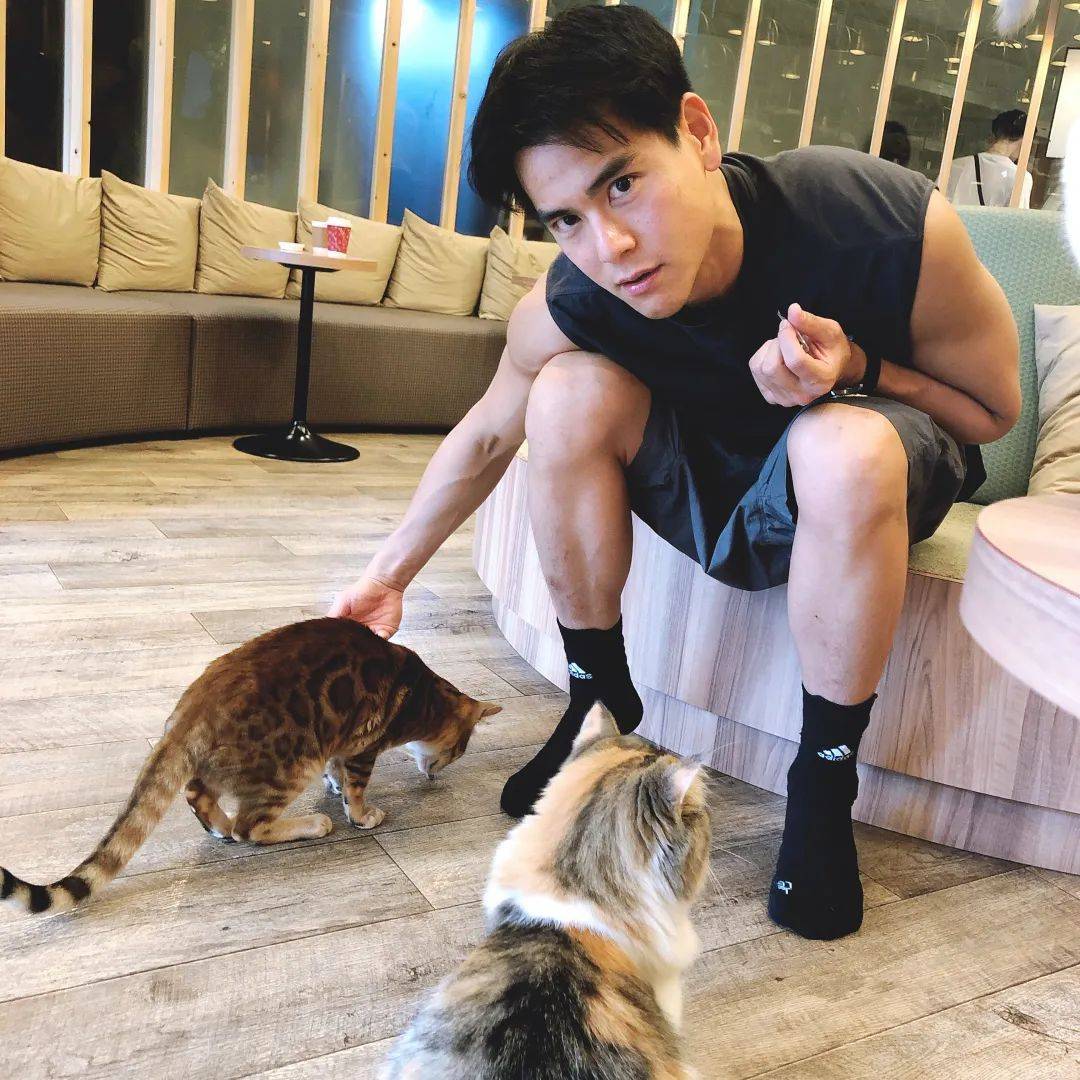 永远少年感的自律男神——彭于晏_身材_健身_拳击手