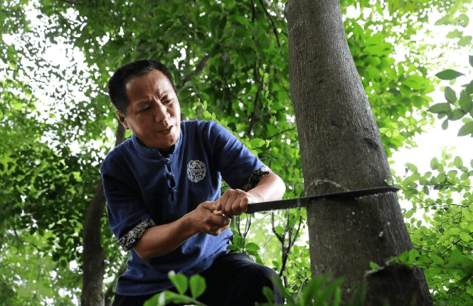 璀璨的"珍珠 贡香居:莞香文化的传播者_东莞_技艺_汤锦华