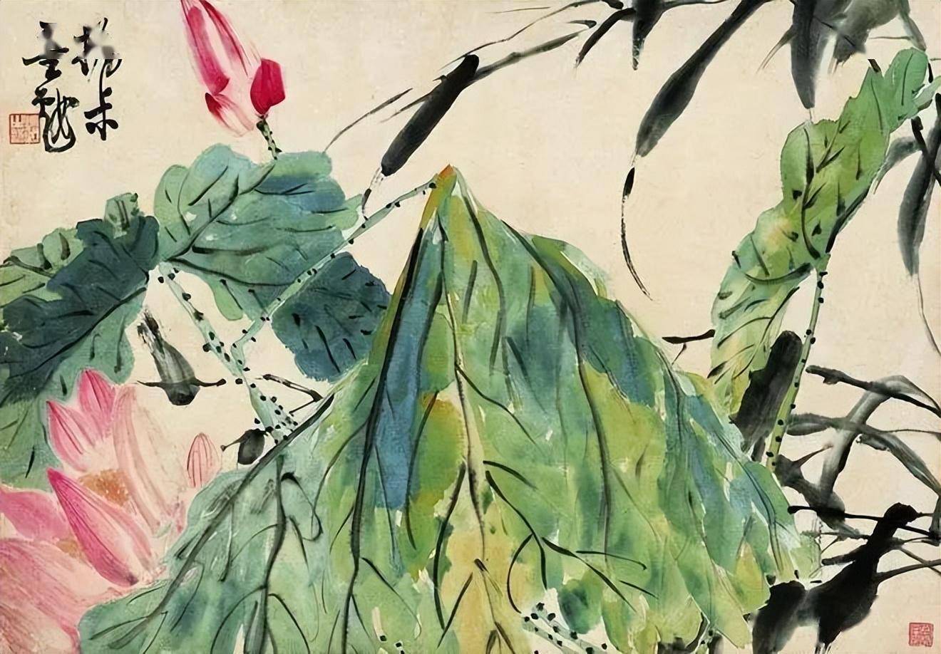 赵之谦笔下的荷花,摇曳生风_色彩_花卉_作品