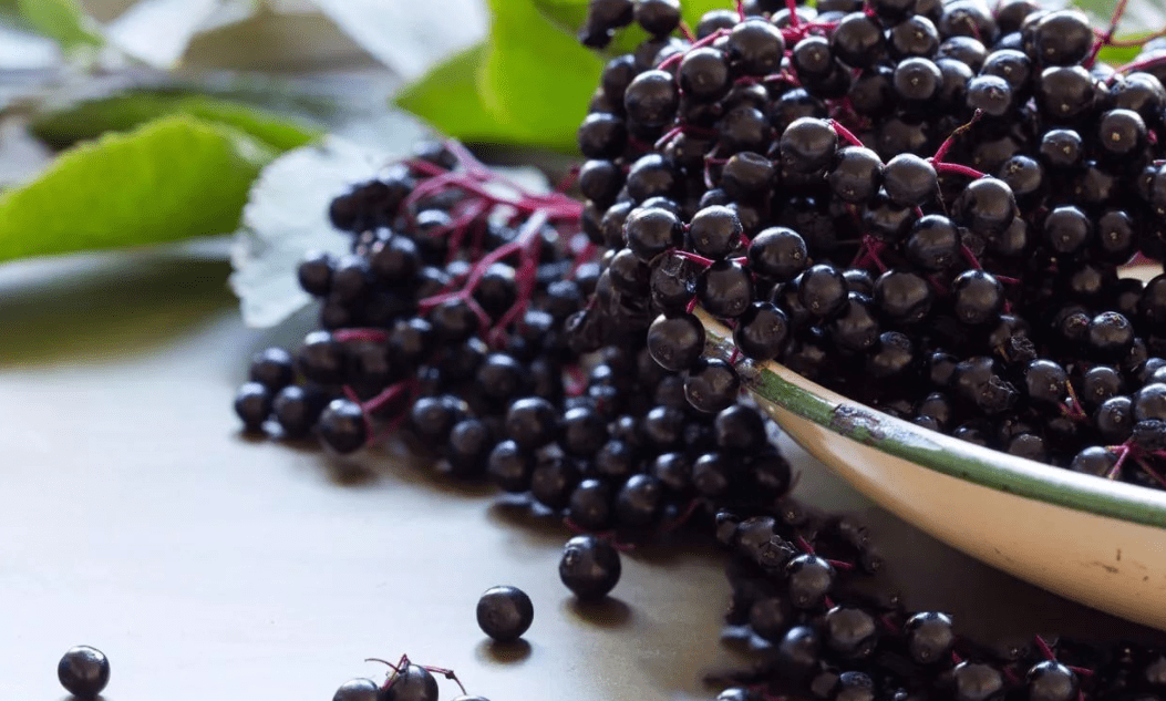 不过单吃巴西莓果,口感未免有些单一,不妨将其与黑果枸杞,菊粉,莲子