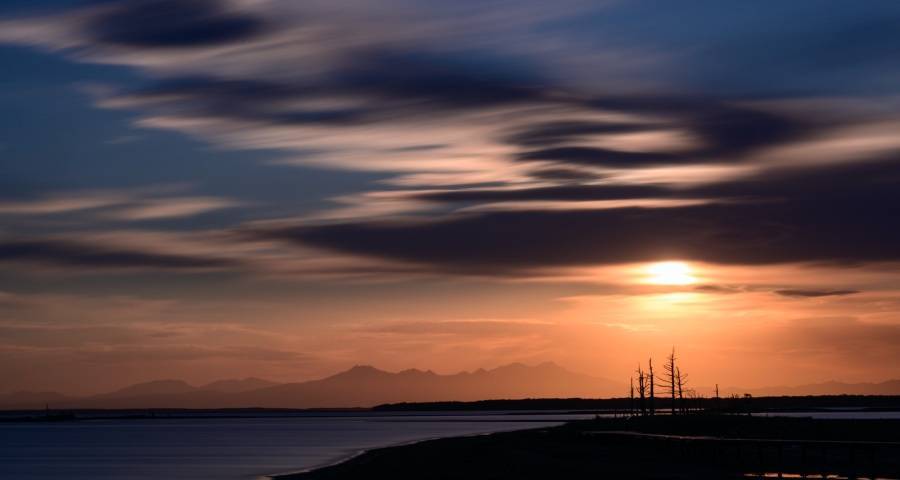 家电市场竞争的最后一张底牌出现了-家电圈官网