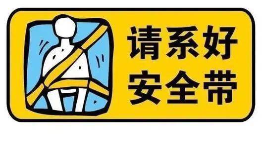 这个行为,交警严查!_安全带_车辆_乘客