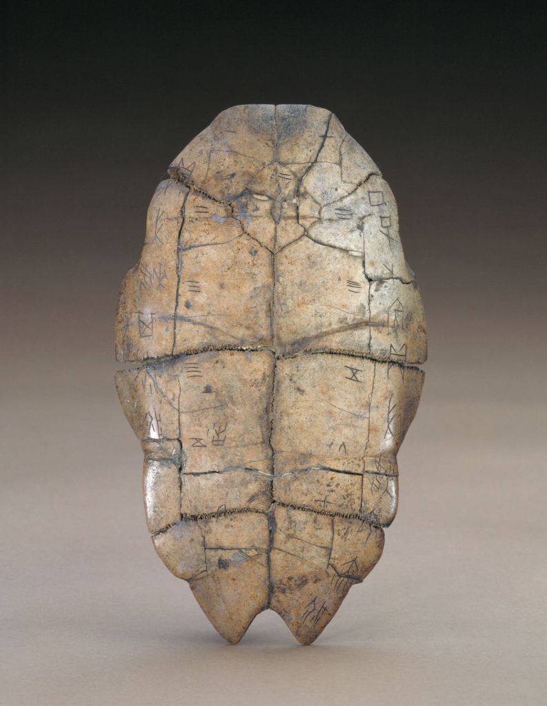 壹 | 龟壳占卜"卜"的本意是烧烤龟壳后留下的不规则裂纹图形.