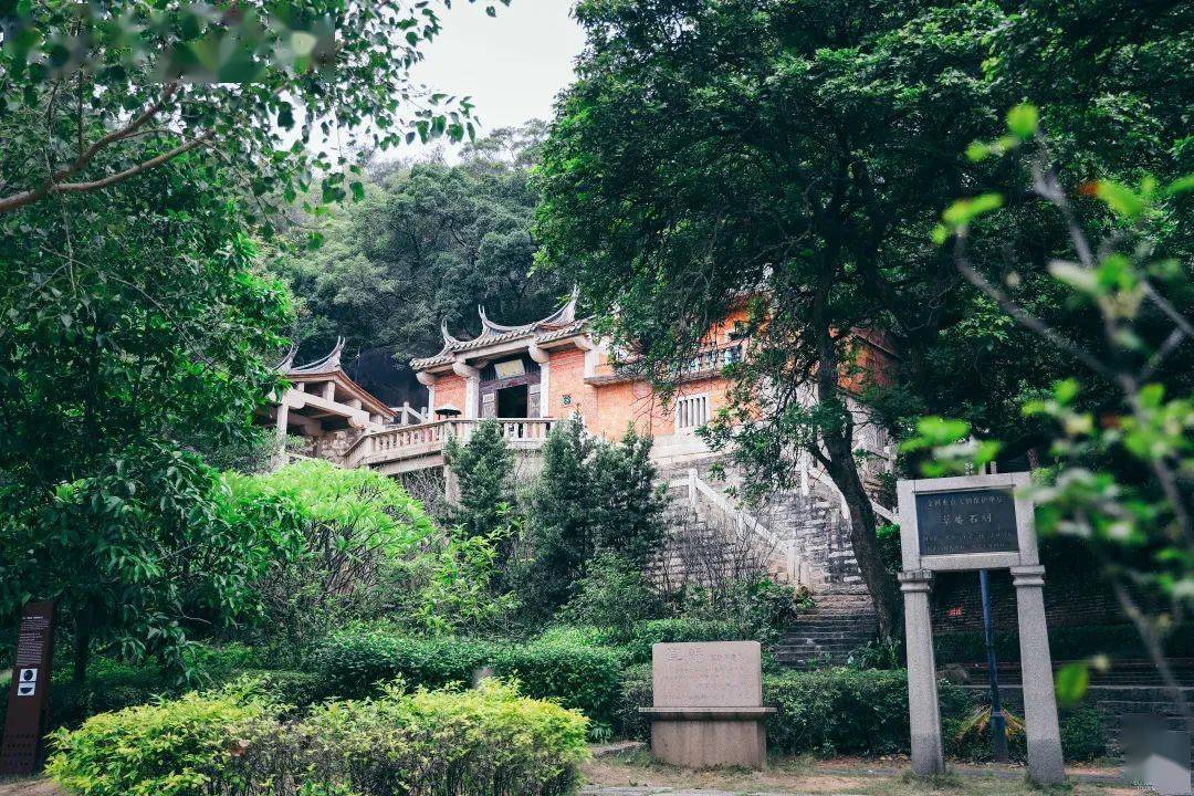 《桂枝香·草庵访古》庄灿煌
