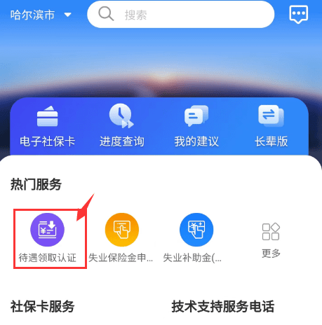 截图自:龙江人社app(3)哈尔滨智慧人社app预约上门认证使领馆协助