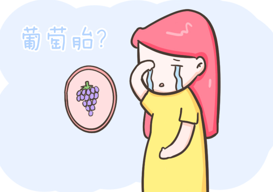科,b超科等科室组成抢救小组,为患者在全麻下行b超引导下葡萄胎清宫术