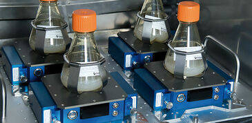 培养箱内,用于同时进行 o2,ph,our和四个摇瓶培养物内的生物量监测