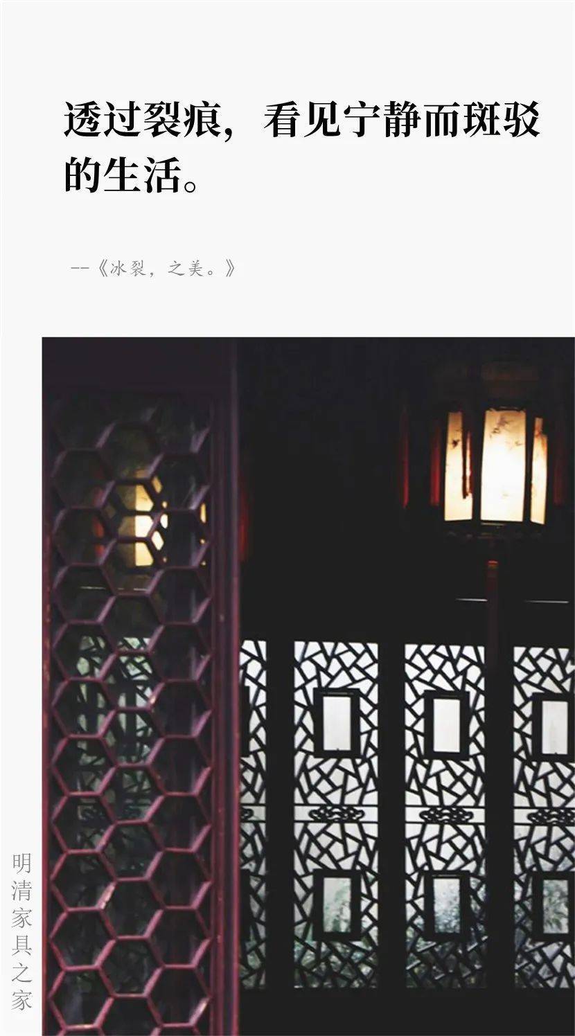 电影《弗兰兹》 Frantz：美丽的心碎- ZiBlog - Medium, image size:830x1496