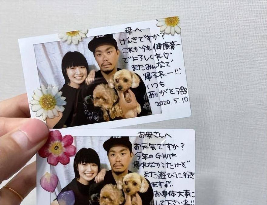 "排球女神"木村纱织:18岁进入国家队,颜值与实力并存_日本_袁灵犀