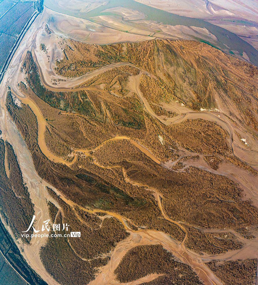 山西运城:黄河河道河汊纵横交错美如画_图片_万荣县_河床